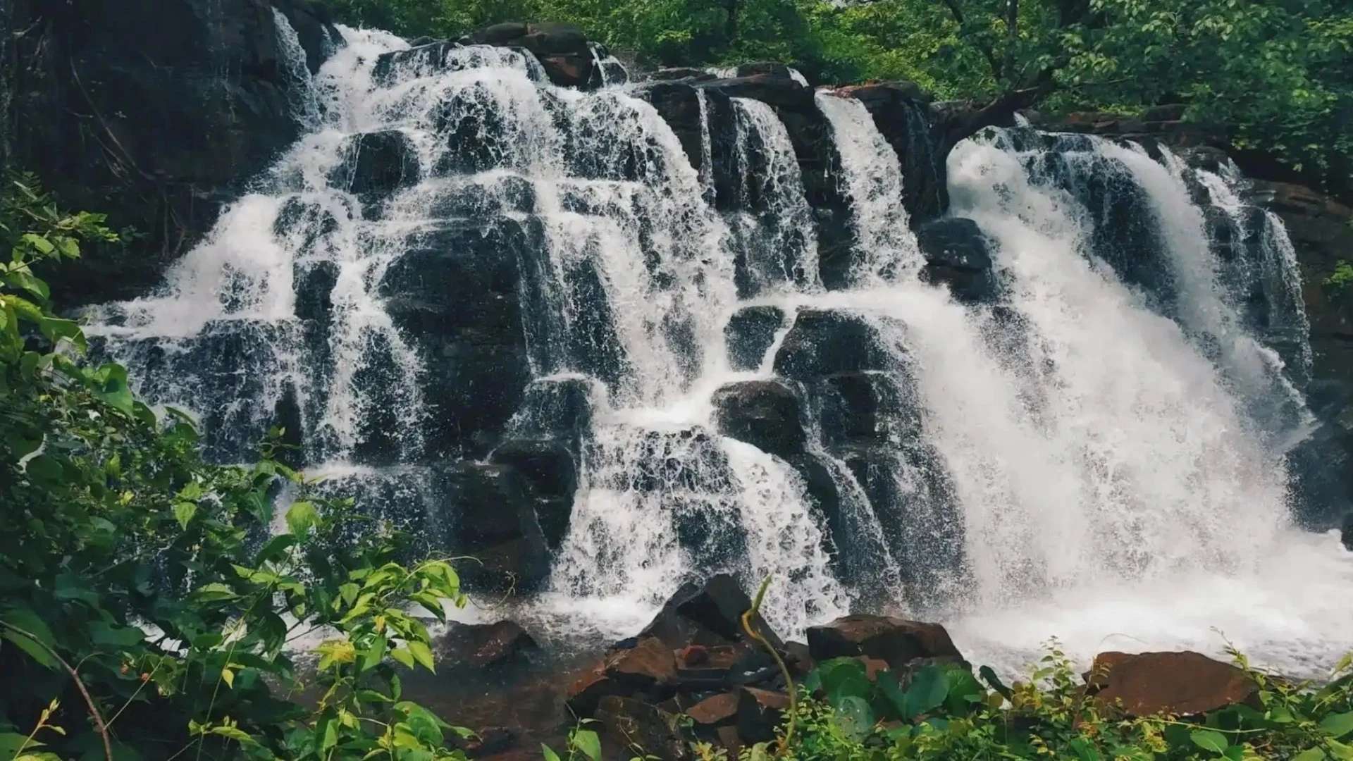 Shivanasamudra Falls